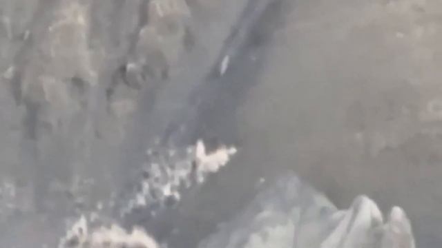 Не на Того Нарвались! Самые Редкие Битвы Животных Снят смотреть онлайн