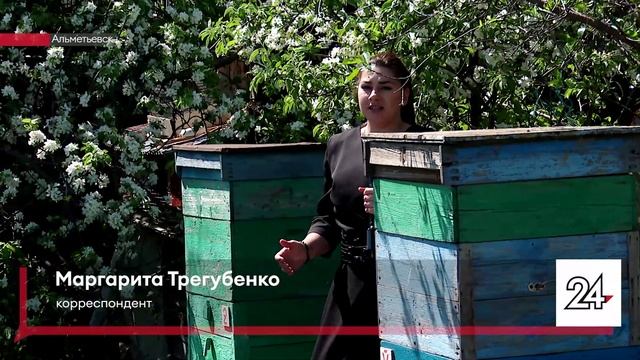В Верхнем Акташе массово гибнут пчелы