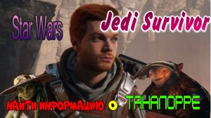 Star Wars Jedi Survivor. Найти информацию о Таналорре на Кобо, озвучка от GamesVoice.