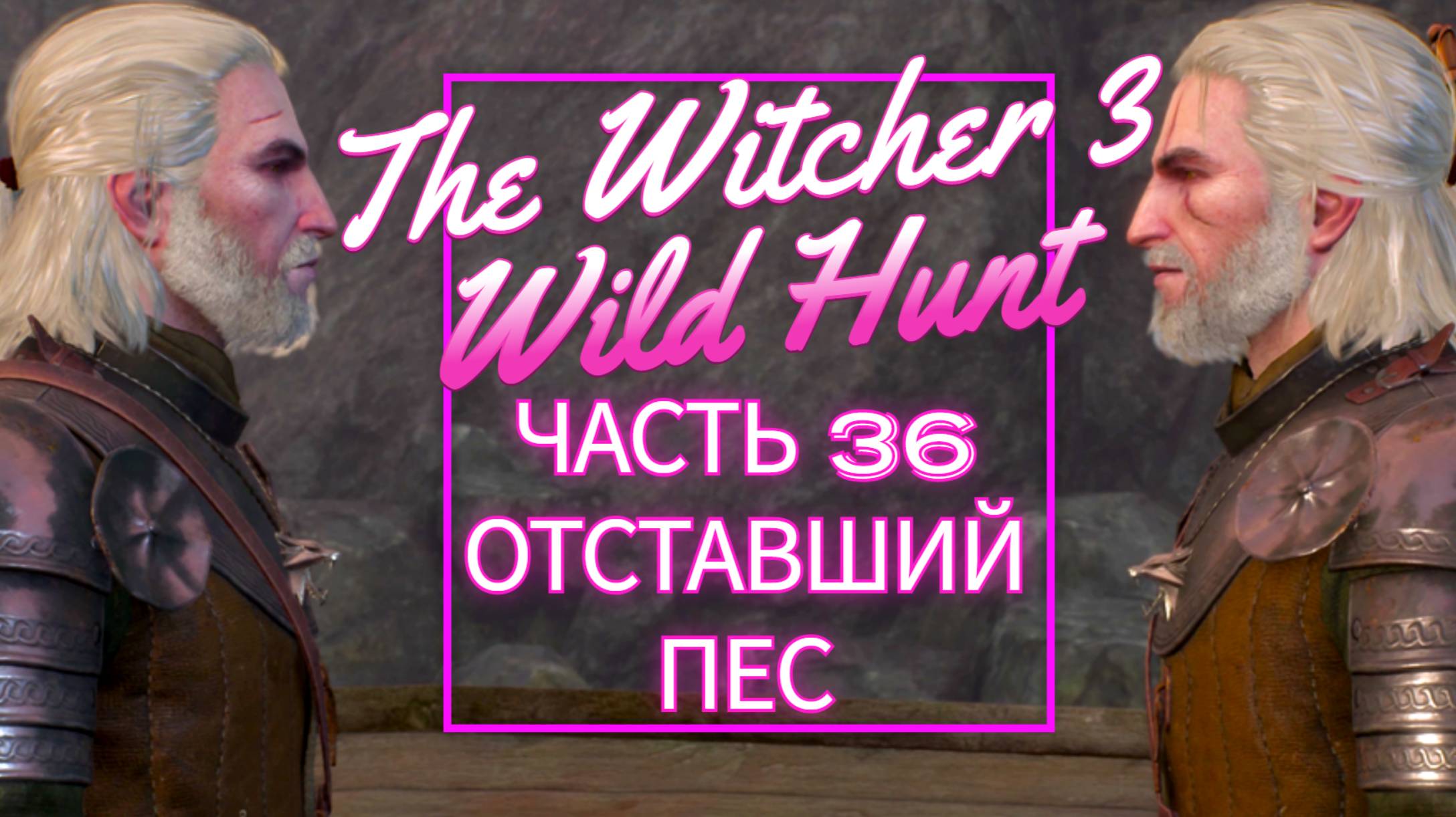 The Witcher 3 Wild Hunt часть 36 ОТСТАВШИЙ ПЕС
