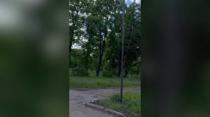 Сотрудники полиции уничтожили БПЛА неонацистов в Селидово