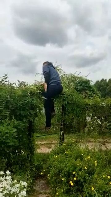 Как перелезть через забор?😆 смотреть онлайн