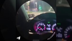 🍢 Побег от шашлыков: свинья устроила ночной забег по Урицкого