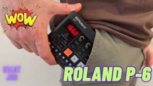 Roland AIRA P-6 — первые впечатления! Гранулярка, эффекты, портативность - вау!!!