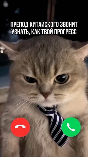 Ответишь? китай китайскийязык китайский