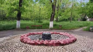 Керчь. пение птиц 14.05.25