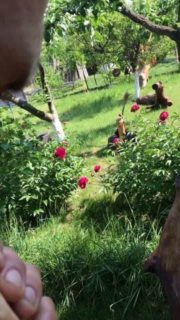 Как правильно есть мороженое смотреть онлайн