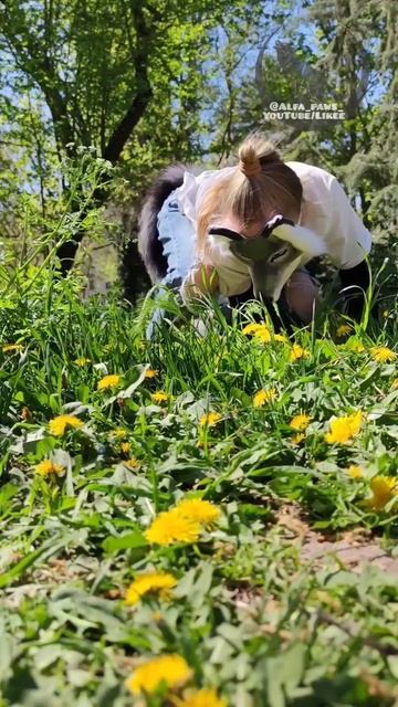 Какая эстетика😍! А у вас уже есть поле одуванчиков? #the смотреть онлайн