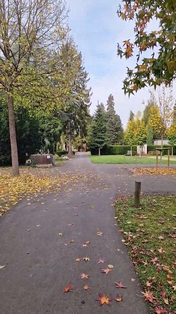 А у вас есть какие нибудь вами Места где вы сможете най смотреть онлайн