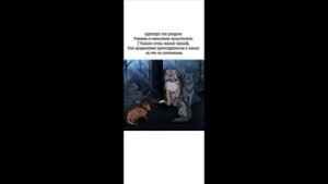 история Синей звезды