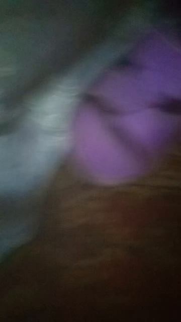 фонк #рекомендации #мой #кот #тв смотреть онлайн