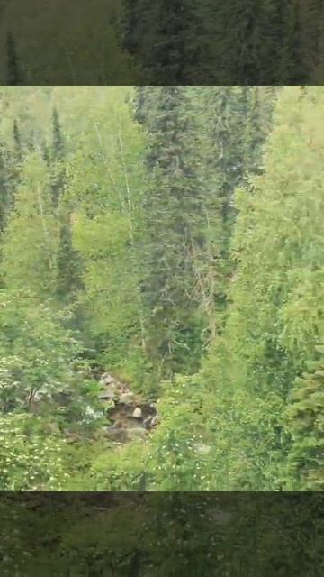 Как недорого посмотреть Шерегеш с высоты птичьего пол смотреть онлайн