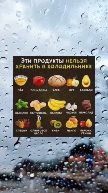 Нельзя хранить в холодильнике смотреть онлайн