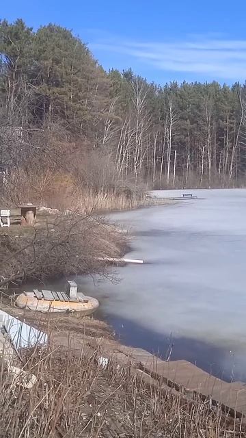 соседская собака замучила,, мины,, повсюду. нет забора, смотреть онлайн