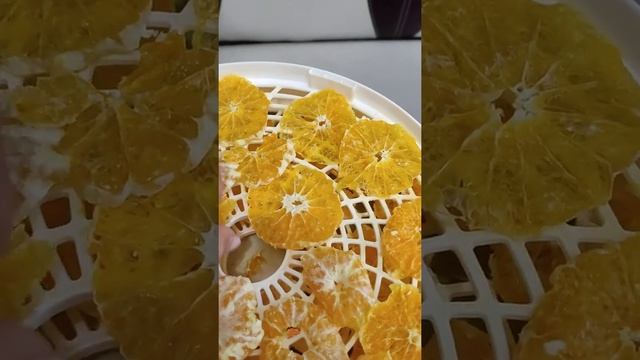 Сушу мандарины 😀😋👍#питербург #санктпетербург #спб # смотреть онлайн