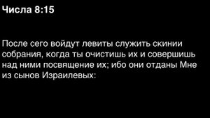 Числа, глава 8