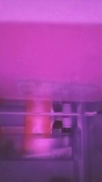 почему у меня холодильник фиолетовый внутри смотреть онлайн