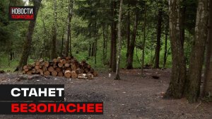 Начались работы по благоустройству Пироговского лесопарка
