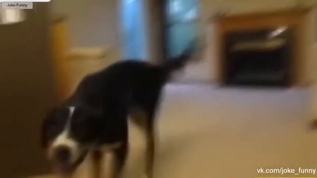 ВОТ ПРИКОЛ выпуск 1 108 Менты, свадебные, рыбацкие приколы и с видеорегистраторов. Под пивко. смотреть онлайн