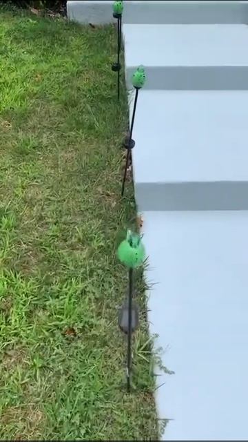 Оригинальные лампочки в форме птичек освещающие крыл? смотреть онлайн