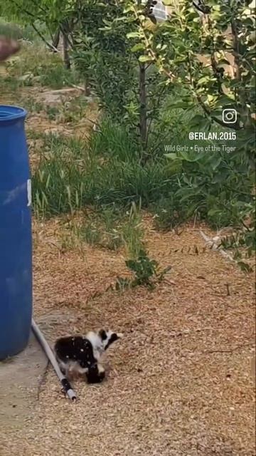 Бой без правил Один-1 смотреть онлайн