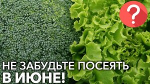 Что посеять в июне? Какие цветы и овощи посеять в июне?