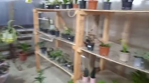 ЗИМНЯЯ ТЕПЛИЦА