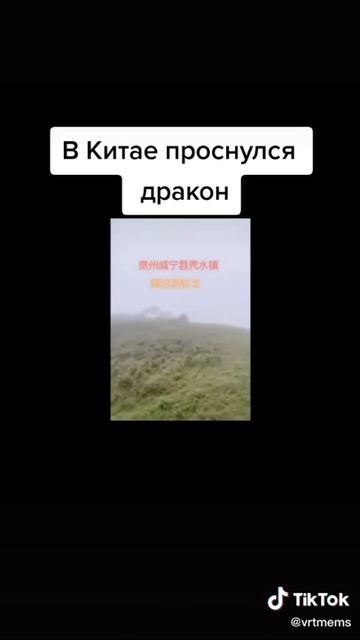 Дракон в китае смотреть онлайн
