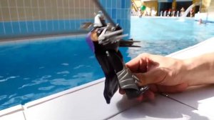 Школа героев Акватим в аквапарке - Супергерои исчезли в портале, а игрушки устроили игры в бассейне!