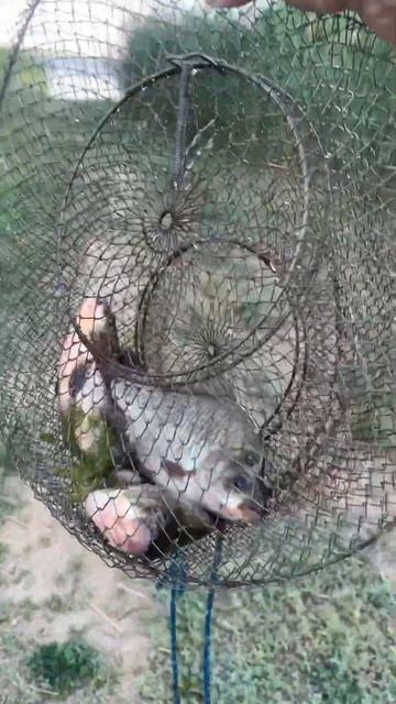 Работает снасть ссср смотреть онлайн