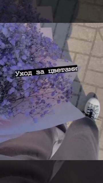 Работы с 12 лет, можно 1К лайков пожалуйста 🥺❤️ смотреть онлайн