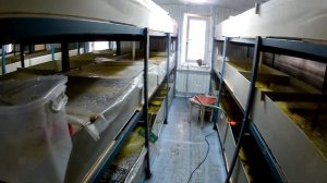 Разведение АККР. Перезагрузка. Планы, исправления ошибок и модернизация.