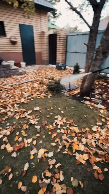 #Уборка ☘️листьев с газона🗑️ смотреть онлайн