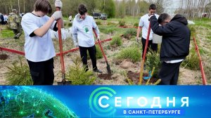 «Сегодня в Санкт-Петербурге»: 14 мая 2025 года