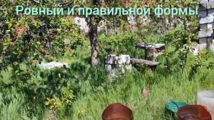 Участок Дергачи 6