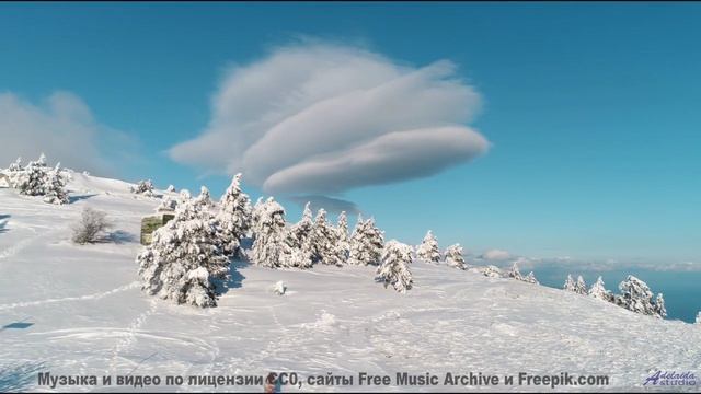 Это ИЗМЕНИТ твое восприятие природы! - Believe In Me (I Got Dis - I Got Us) -- Tadz -- Soul Symphoni