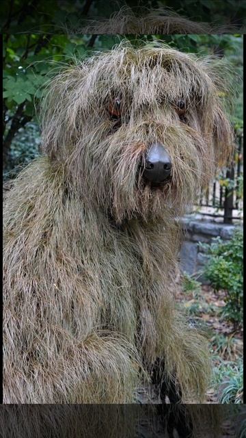 САД И ОГОРОД(2) смотреть онлайн