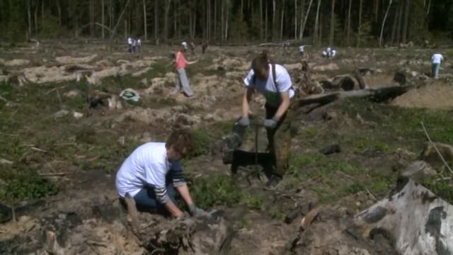 Акция Лес Победы в мкр. Пироговский