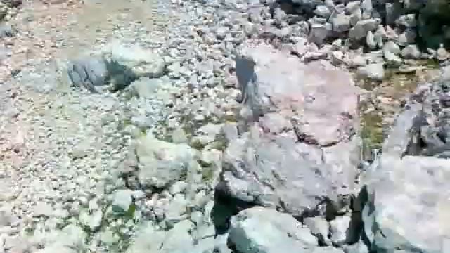 ползем на фишт 2 смотреть онлайн