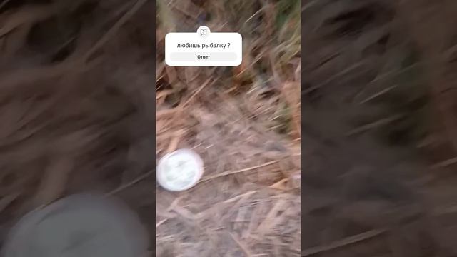 рыбалка на поплавок #fishing смотреть онлайн