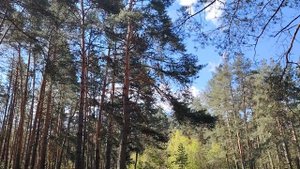 Путь к "успешному успеху" или самостоятельное планирование