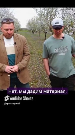 Саженец миндаля как кот в мешке.