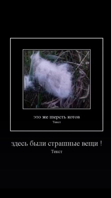 кв мемчики