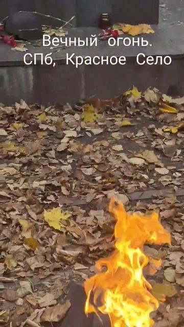 Вечный огонь. СПб, Красное Село #4д #четыредевочки #вечн смотреть онлайн