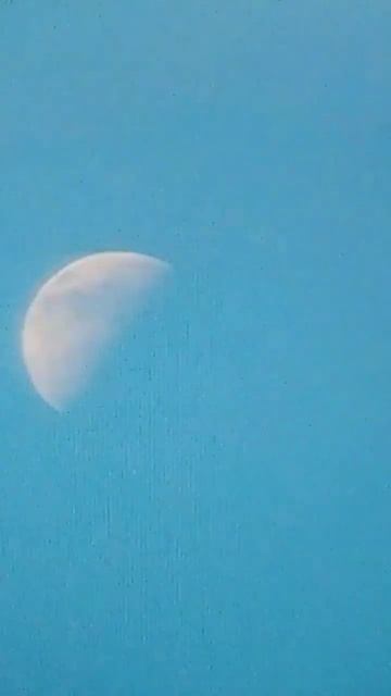 Ждёт весну за окнами берёза. #стихи #лирика #зим? смотреть онлайн