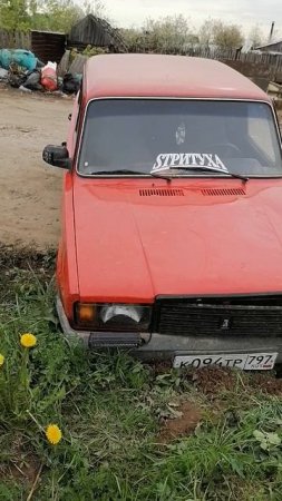 Сосновские проишествия... 🤭🤔
