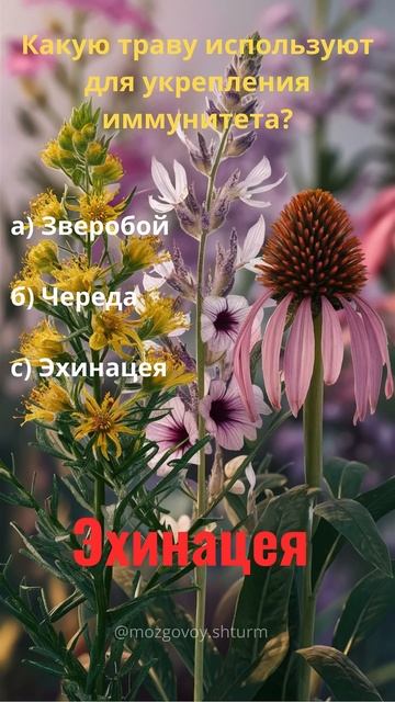 Викторина на тему лечебные растения shorts shortsvideo лекар