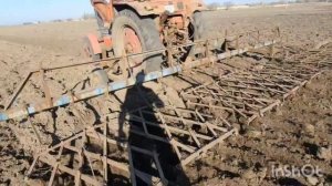 Сцепка борон на трактор МТЗ-82 🔥👍👍