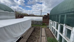 🏡 Огородно-тепличный Vlog. 
Приготовила постоянное место для Колеусов в открытом грунте.