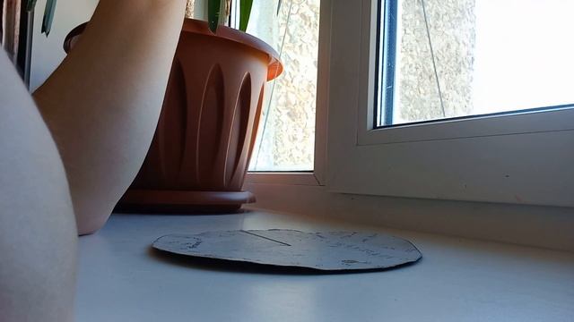 📢💯ЦОМАРТОВА АННА ЖИВА🪞🪡🕯#youtube#пропавшиебезвести смотреть онлайн